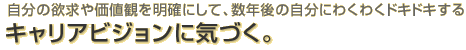 自分の欲求や価値観を明確にして、数年後の自分にわくわくドキドキする【キャリアビジョンに気づく。】